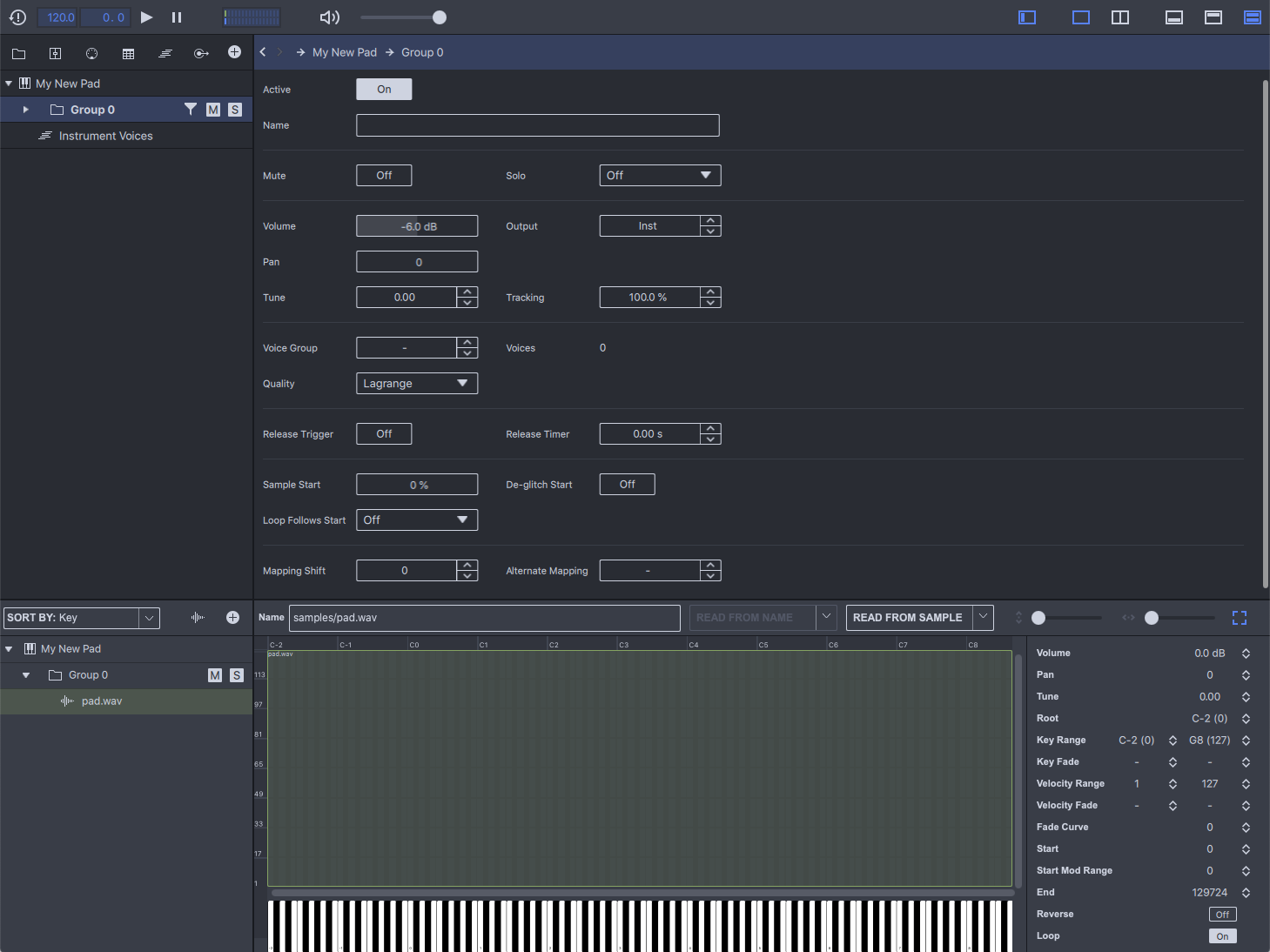 Playing_the_instrument