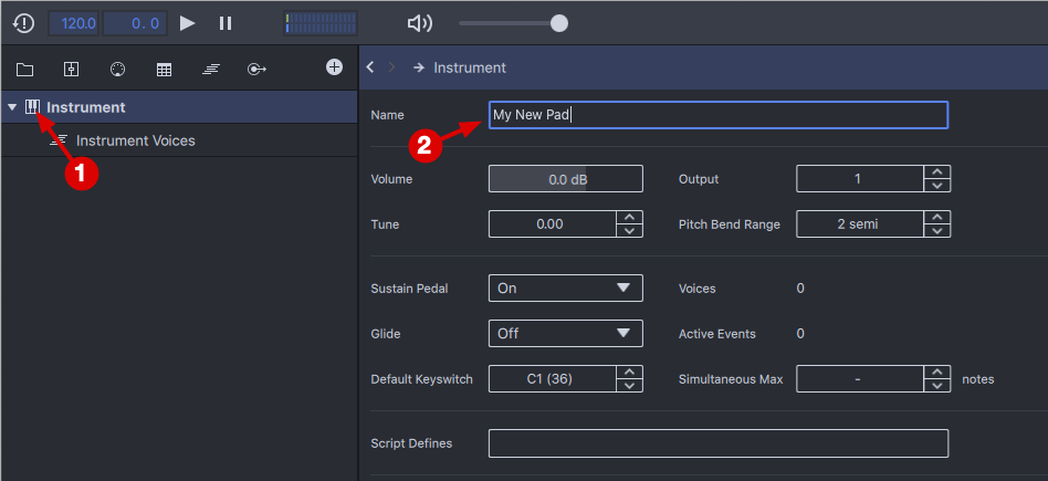 Select Instrument and Name